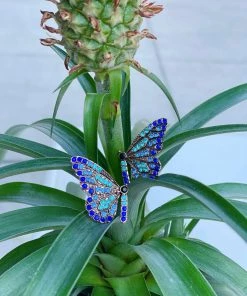 Folklore & Tradition Tropic Butterfly Stud Earrings